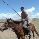 Монгольская порода лошадей