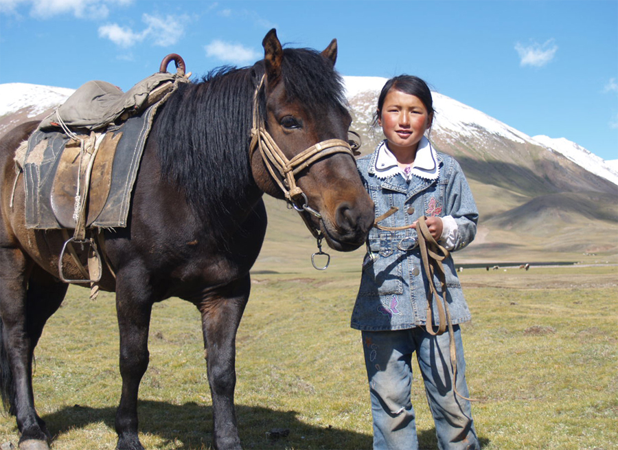 Фото монгольской лошади.