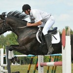 Виды конного спорта: список и описание